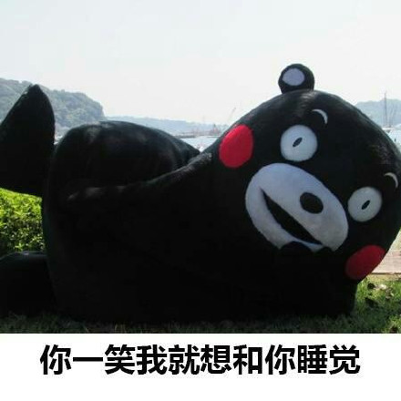 熊本熊表白微信表情包 熊本熊表白微信表情包第4张